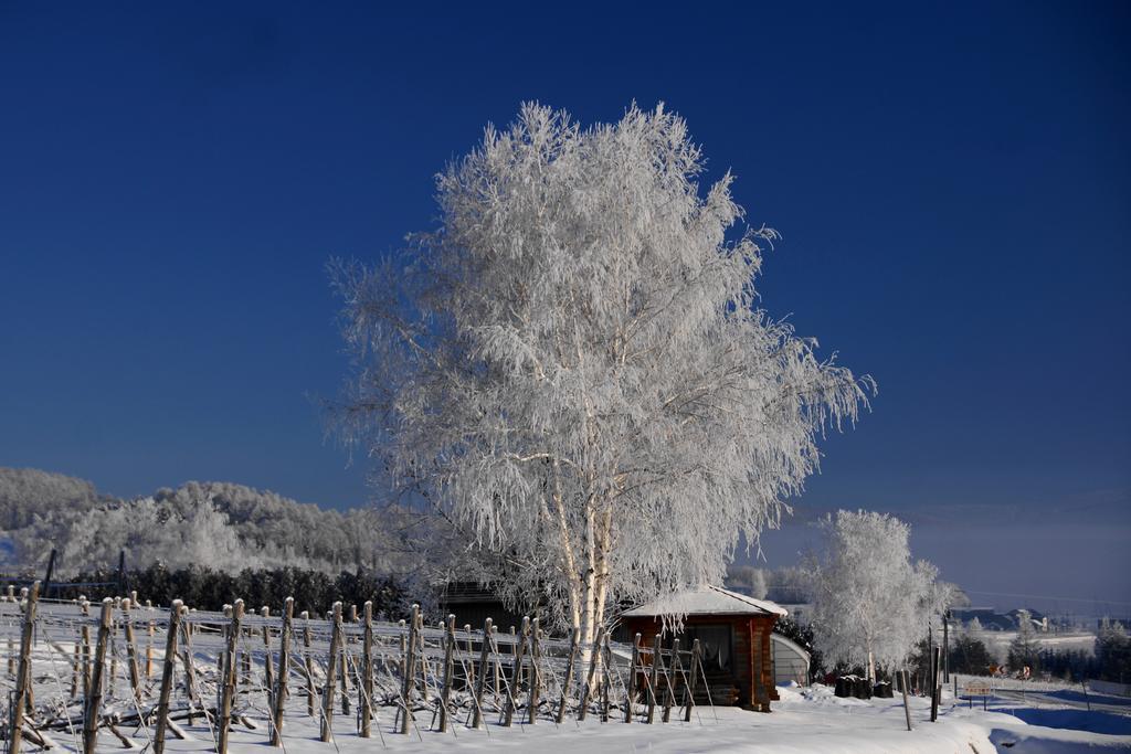 Pension Ashitaya Фурано Экстерьер фото